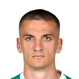 Nenad Cvetković